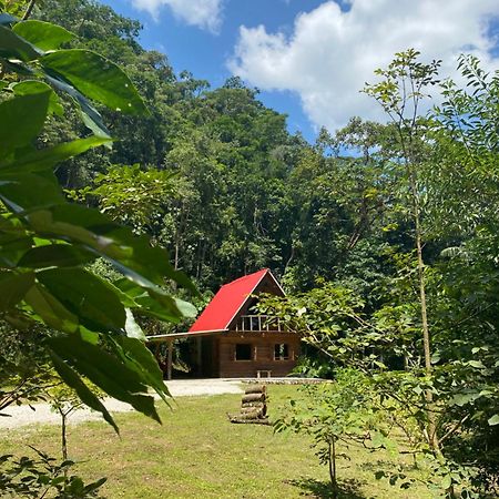 Chale Em Meio A Natureza! Guabiruba Exteriör bild