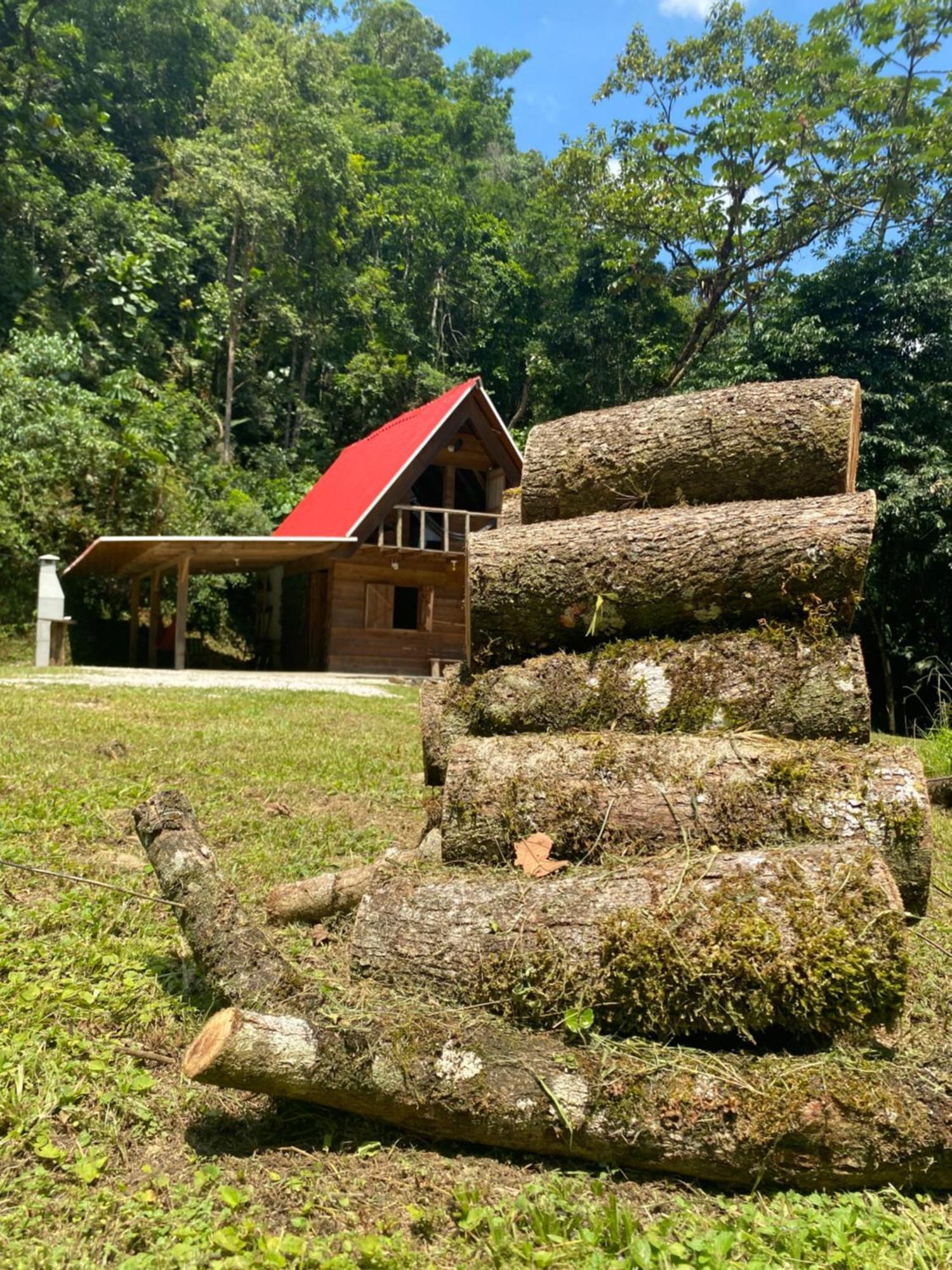 Chale Em Meio A Natureza! Guabiruba Exteriör bild